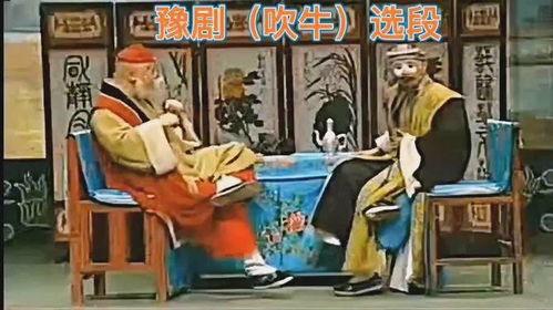 张大砍与胡砍砖视频,一场别开生面的砍砖对决