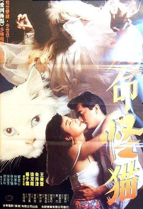 十命猫怪电影免费观看