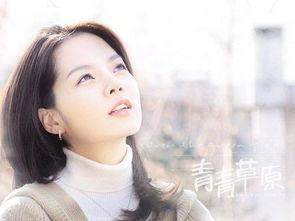 青青草无码韩国,揭秘神秘东方国度的风情画卷