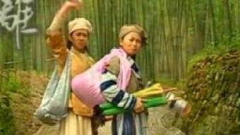 再生缘粤语版在线观看,穿越时空的奇幻之旅