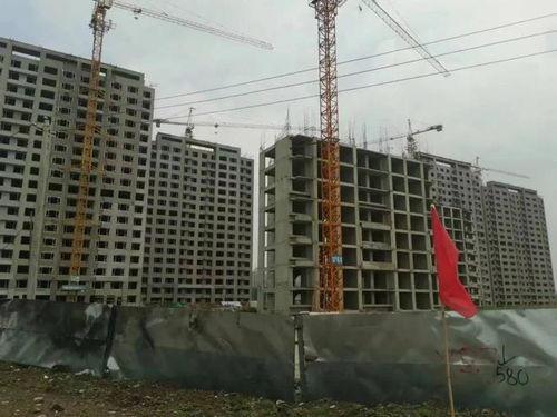 长春新星宇最新爆料,揭秘项目神秘面纱背后的惊人真相