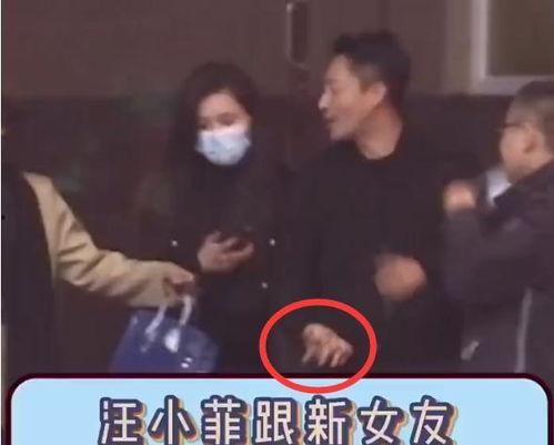 新爆料汪小菲视频播放在线观看,在线观看揭秘幕后故事