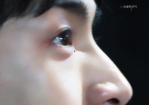 鼻子最大男明星,揭秘鼻子最大的男明星风采