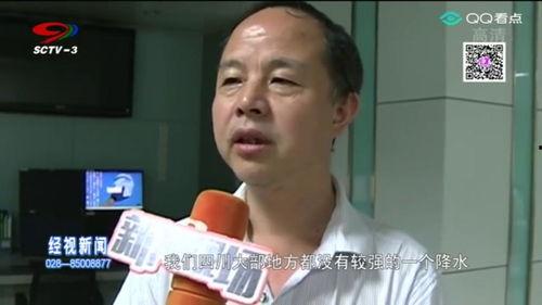 四川经视在线播放,精彩节目轮番上演，尽享视听盛宴