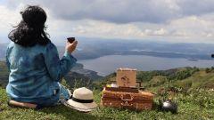 屋上 新日本,新日本都市生活图鉴