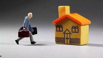 哈市房产大爆料最新消息