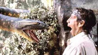 狂蟒之灾前传免费观看,揭秘蟒蛇王国的神秘起源