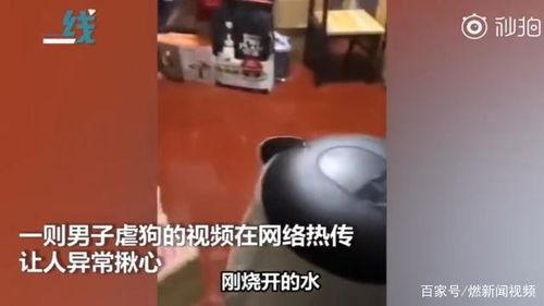 浇开水视频,揭秘科学实验的奥秘