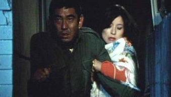 职业妓女日本电影,日本电影中的职业妓女世界