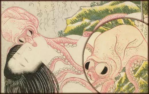 日本动画 章鱼,探寻深海神秘生物的奇幻旅程