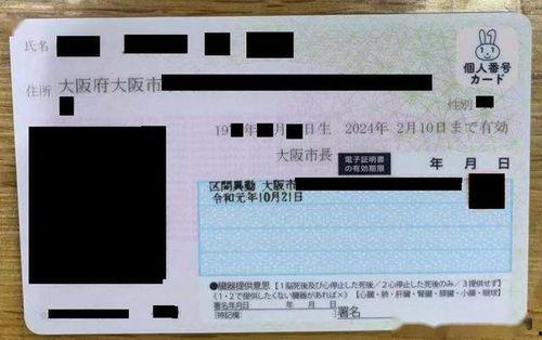 日本番号查询,探寻日本文化符号的奥秘