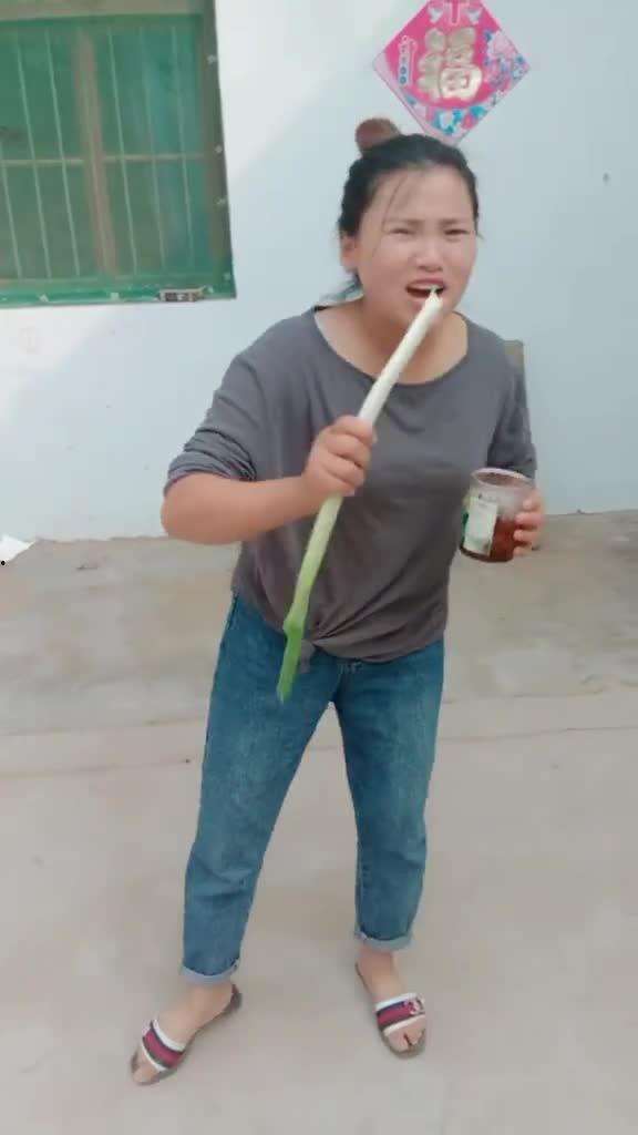 短视频熊二,趣味横生的欢乐时光