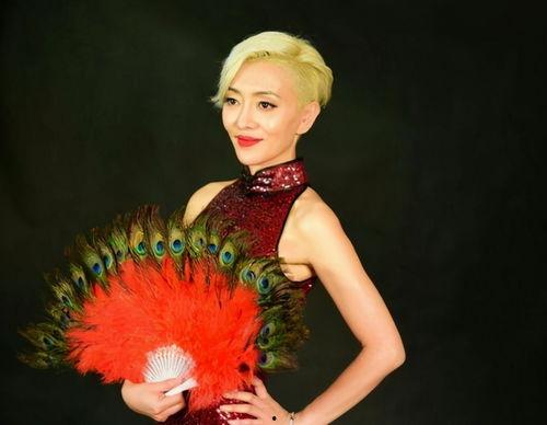 明星张丽,璀璨星途，闪耀娱乐圈