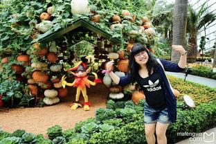 娱乐吃瓜酱花园,揭秘娱乐圈那些不为人知的幕后故事