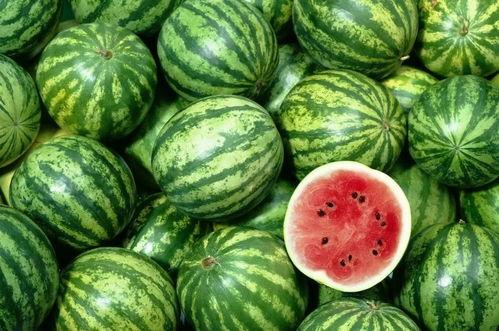 娱乐吃瓜的账号适合做什么